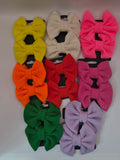 Piglet Spring Bundle